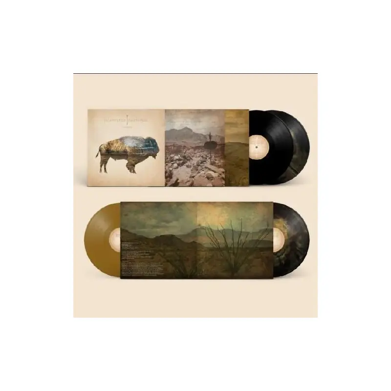 Arrow - Anniversary Edition Vinyl LP (Gold/Black)