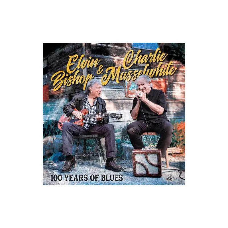 100 YEARS OF BLUES - Vinyl LP 140 Gram