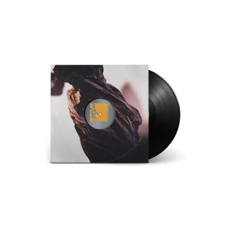 The Night The Zombies Came - Vinyl LP