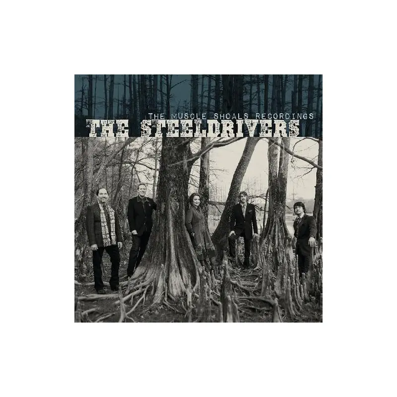 The Muscle Shoals Recordings - Vinyl LP