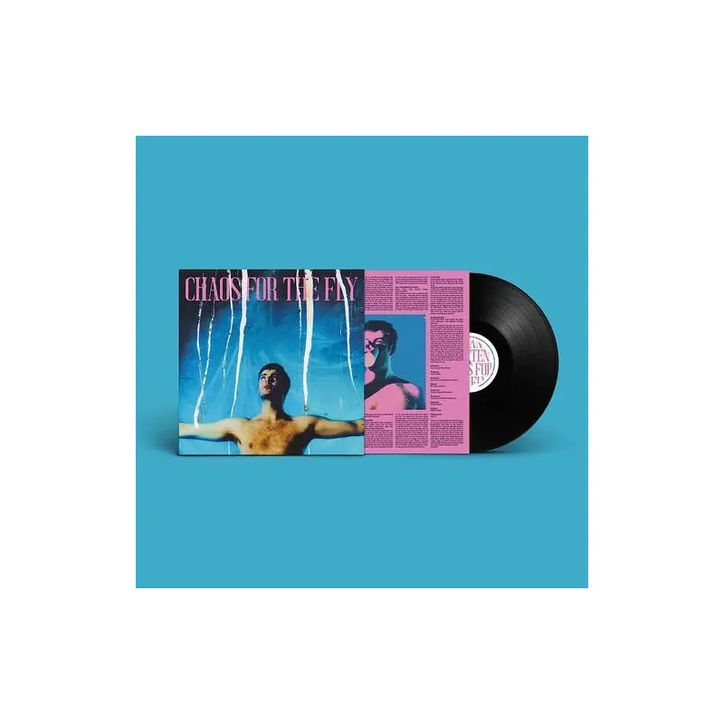 Chaos For The Fly - Vinyl LP