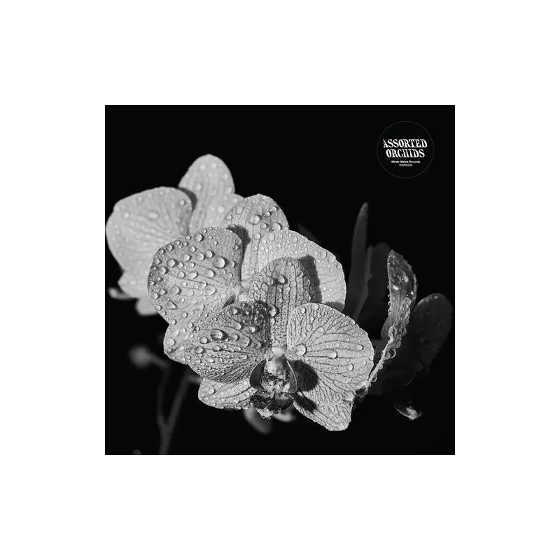 Assorted Orchids - Vinyl LP