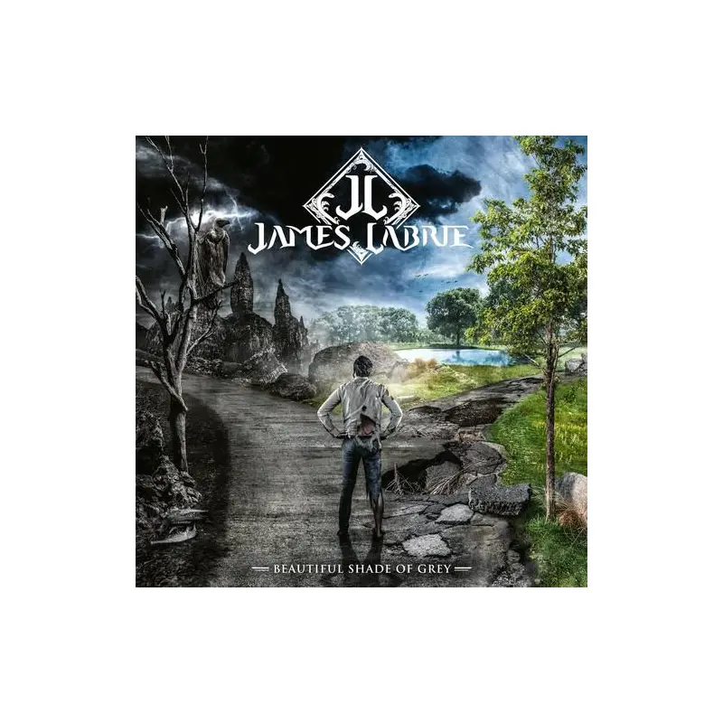 Beautiful Shade Of Grey - Vinyl LP