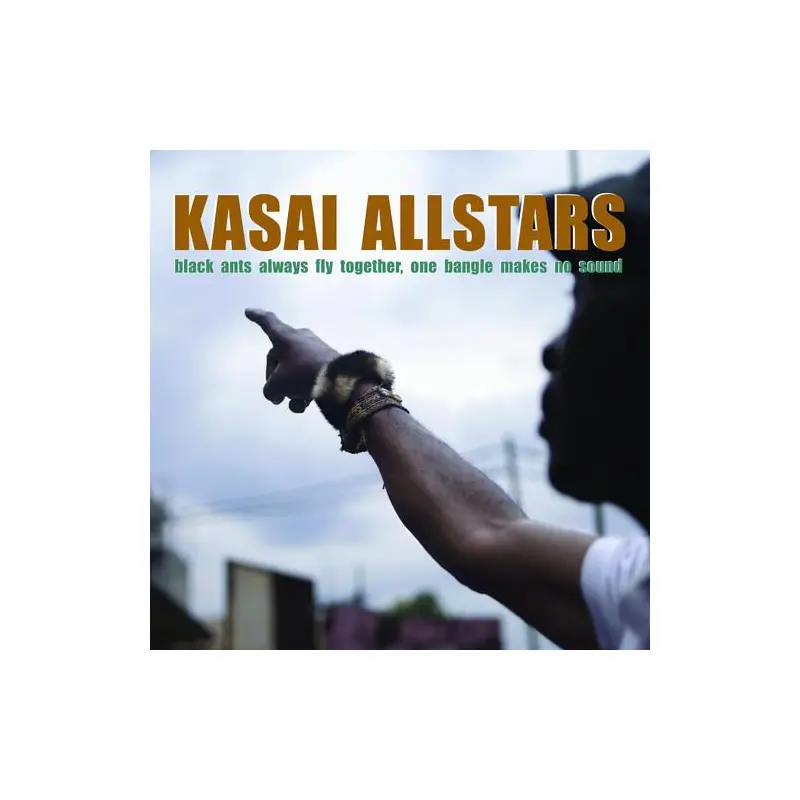 Black Ants Always Fly Together One Bangle Makes No Sound - Vinyl LP