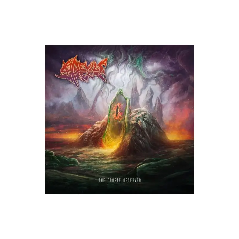 The Droste Observer - Vinyl LP