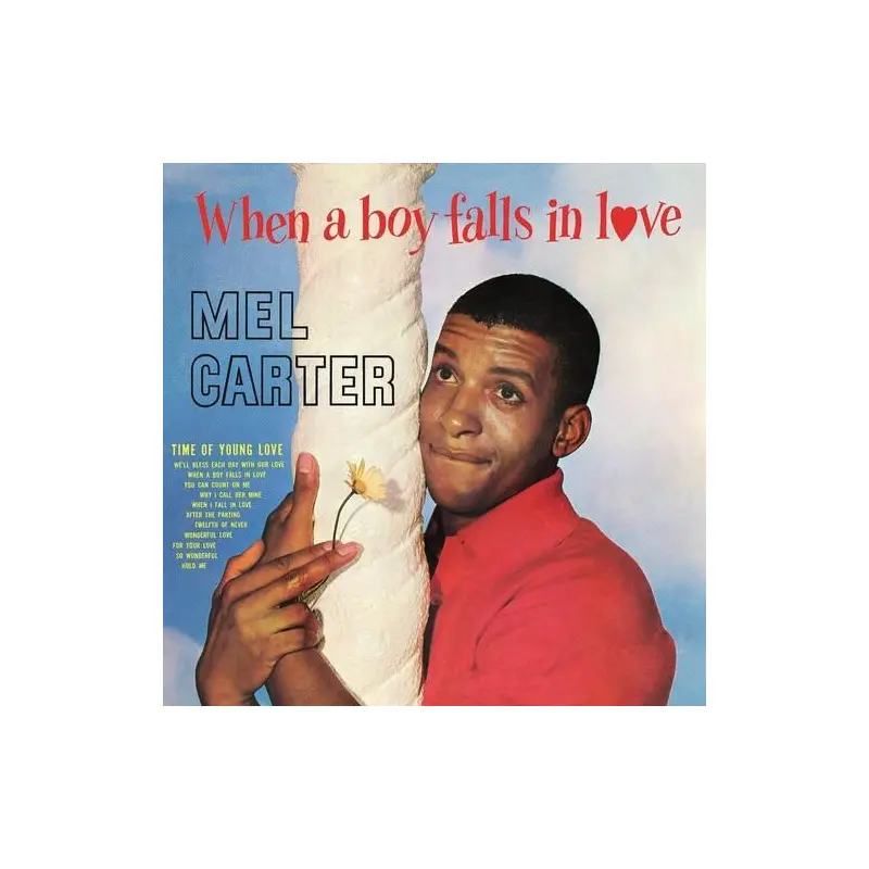 When A Boy Falls In Love - Vinyl LP