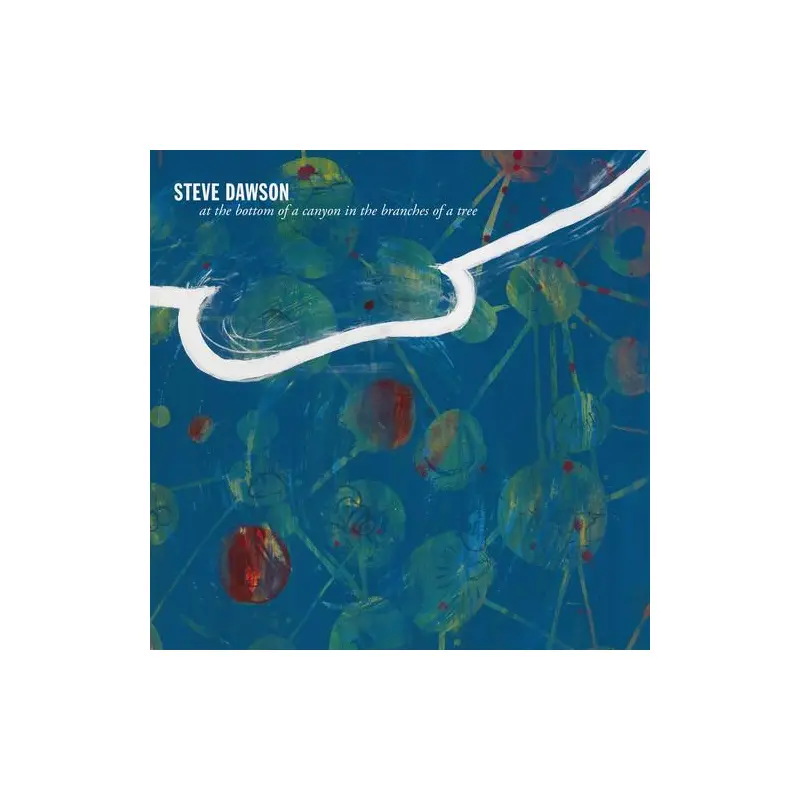 At The Bottom Of A Canyon In The Branches Of Tree - Vinyl LP