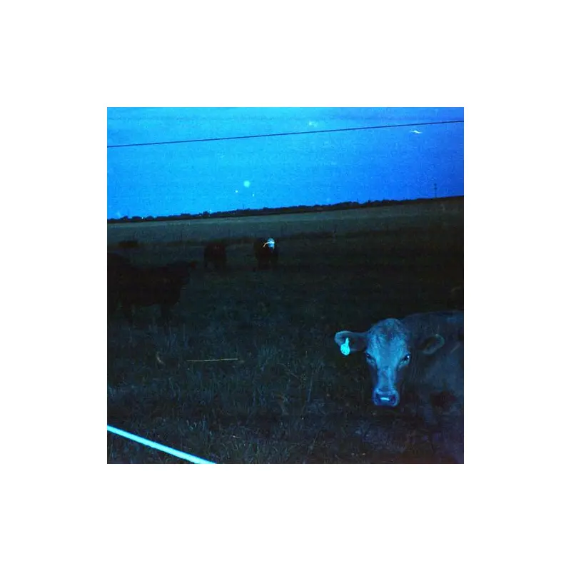 Antarctica - Dark Blue - Vinyl LP