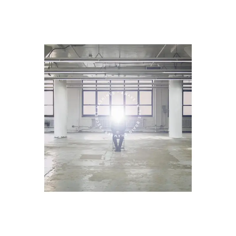 Awake In The Brain Chamber - Vinyl LP