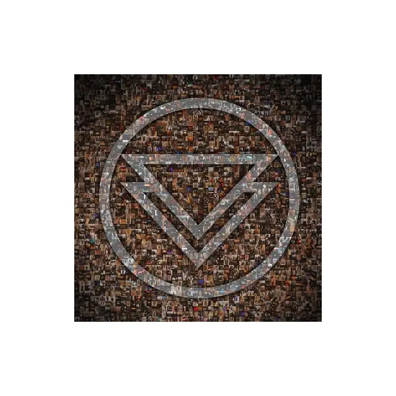 The Ghost Inside - Vinyl LP (Black)