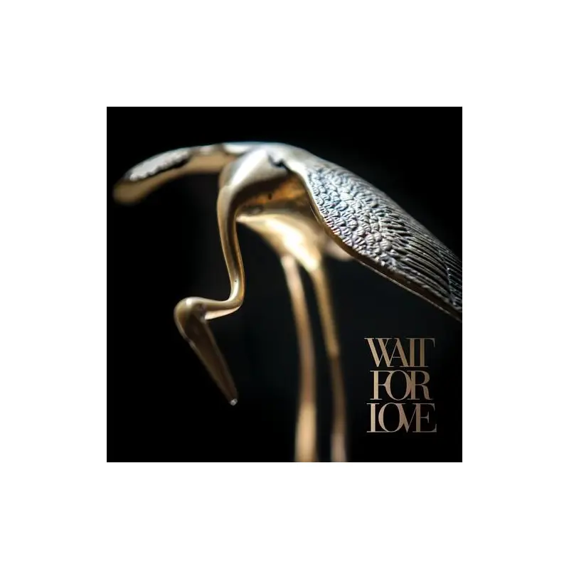 Wait For Love - Vinyl LP