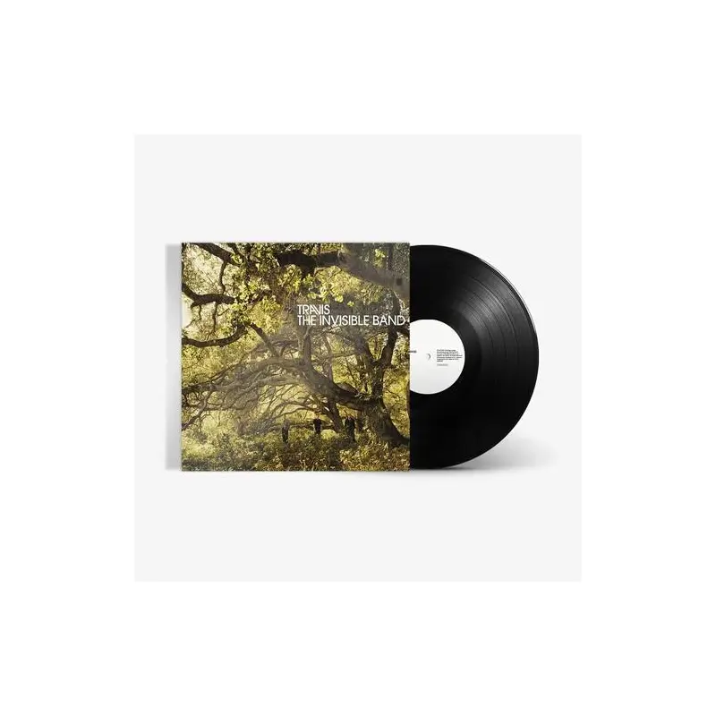 The Invisible Band (20th Anniversary) [LP] - Vinyl LP