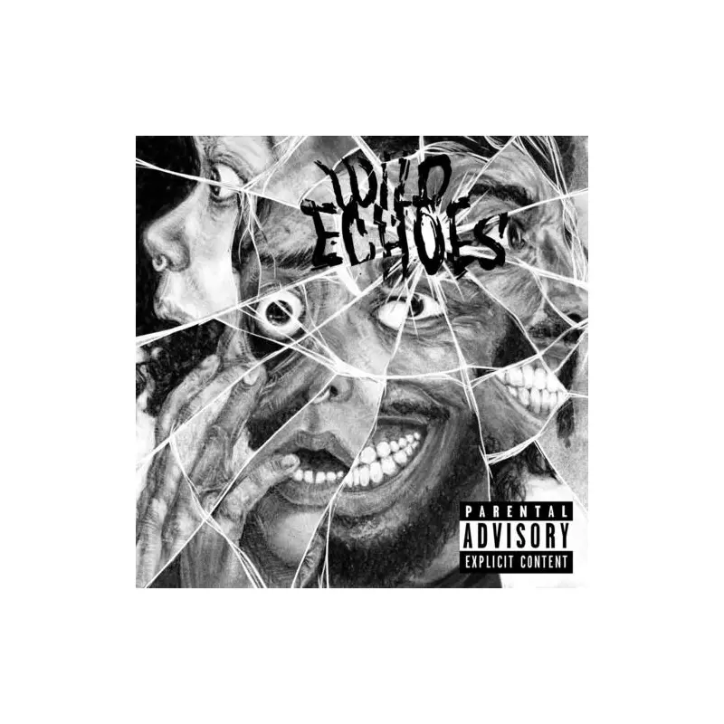 Wild Echoes - Vinyl LP