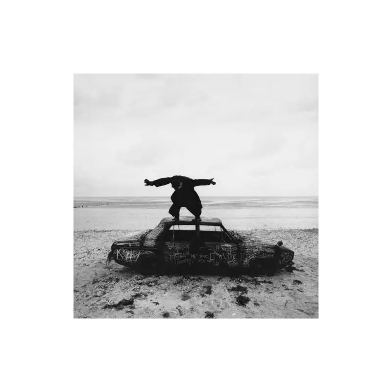 Being Funny In A Foreign Language - Vinyl LP