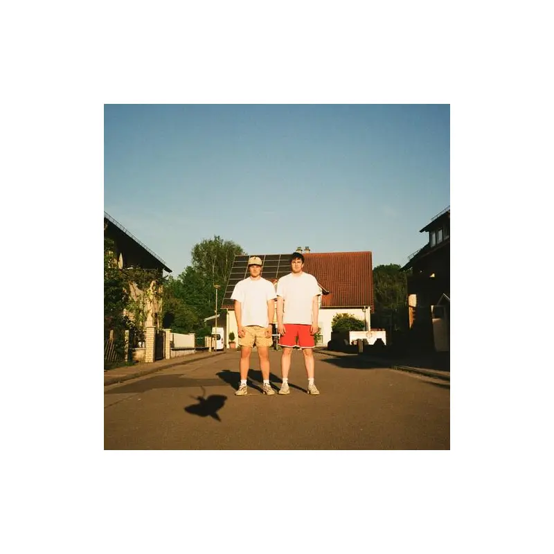 Whether You Like It Or Not - Vinyl LP