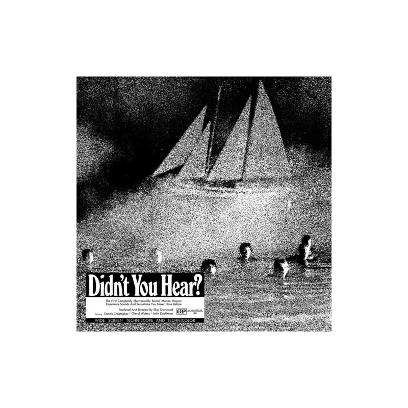 Didn't You Hear? - Vinyl LP