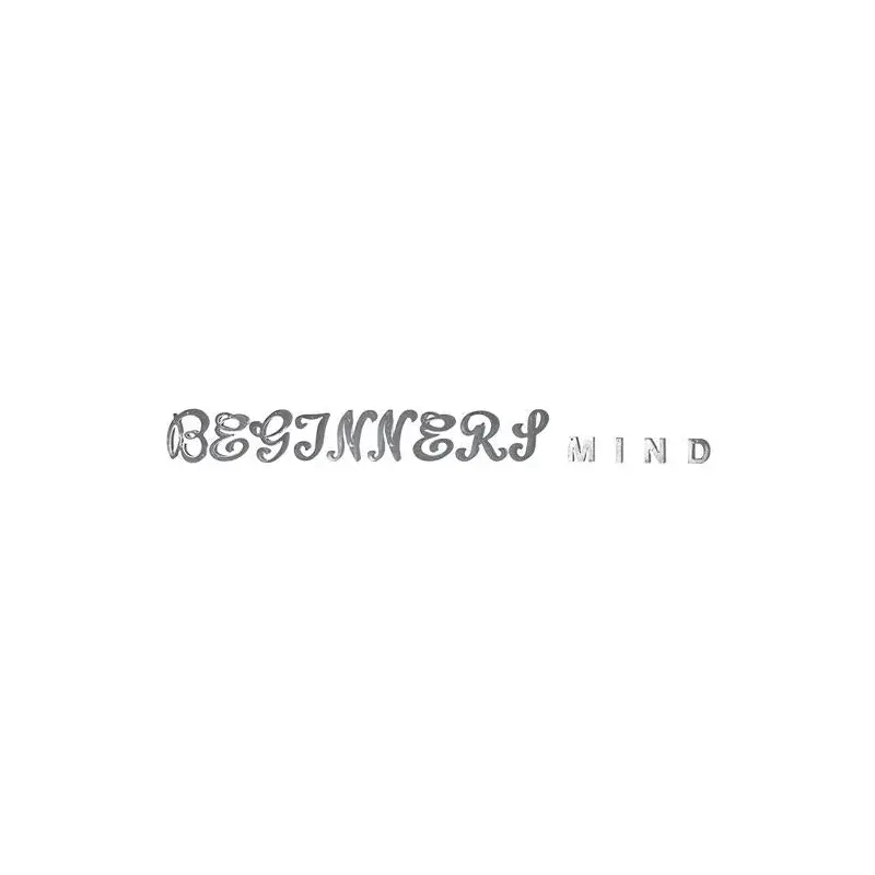 Zimmermann: Beginner's Mind - Vinyl LP