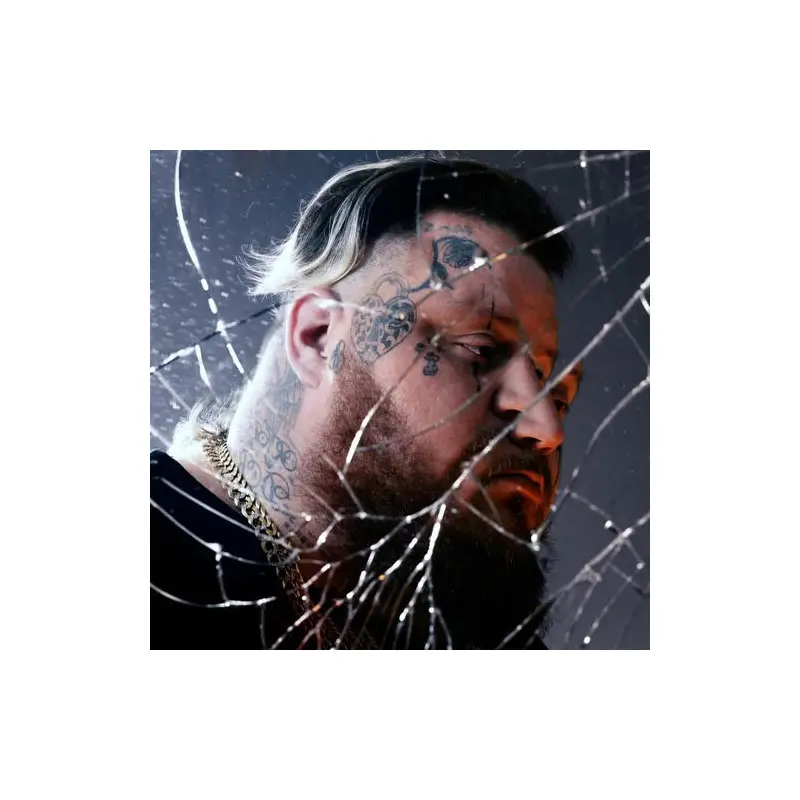 Ballads Of The Broken - Vinyl LP