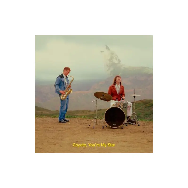 Coyote, You're My Star - Brown - Vinyl LP