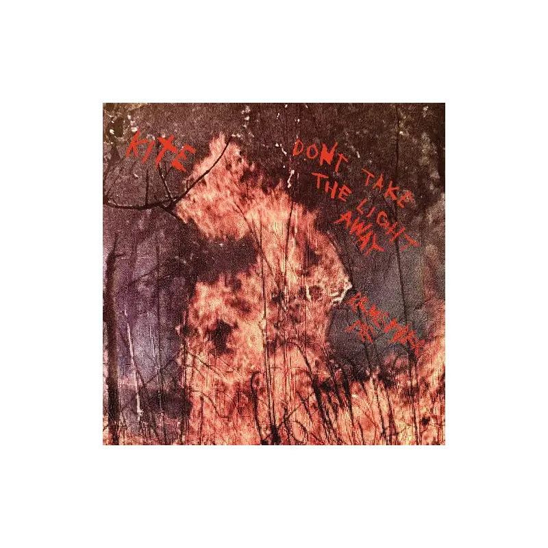 Don't take the light away / Remember me - 7-Inch Single