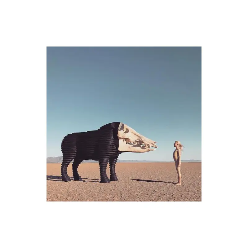 Dream Hunting In The Valley Of The In-between - Vinyl LP