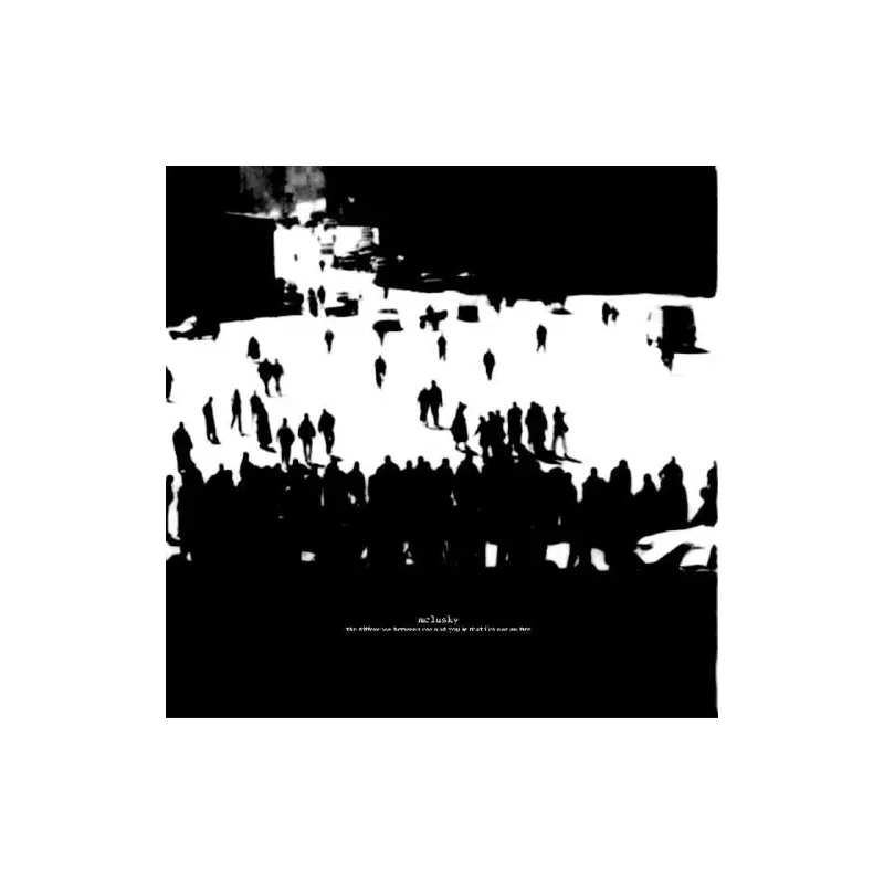 The Difference Between Me and You Is That I'm Not On Fire - Vinyl LP 180 Gram