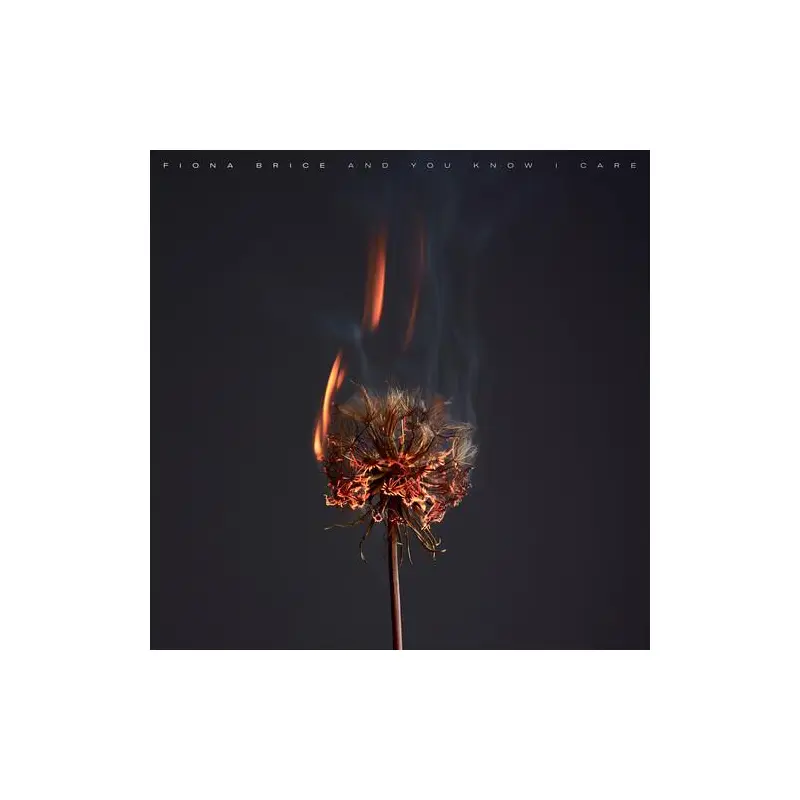 And You Know I Care - Vinyl LP