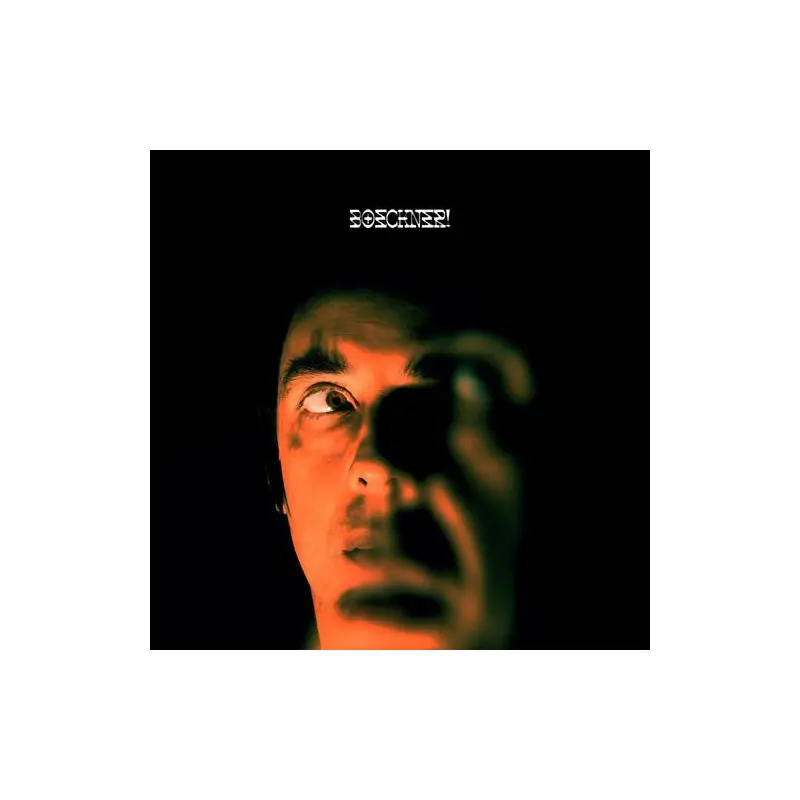 Boeckner! - Vinyl LP