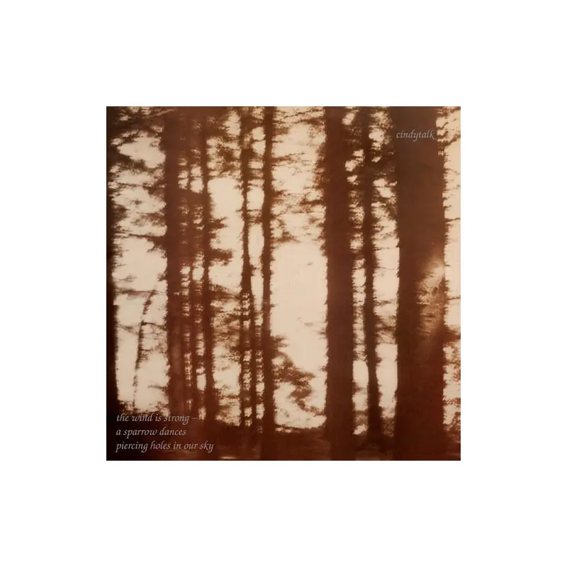 The Wind Is Strong - Vinyl LP