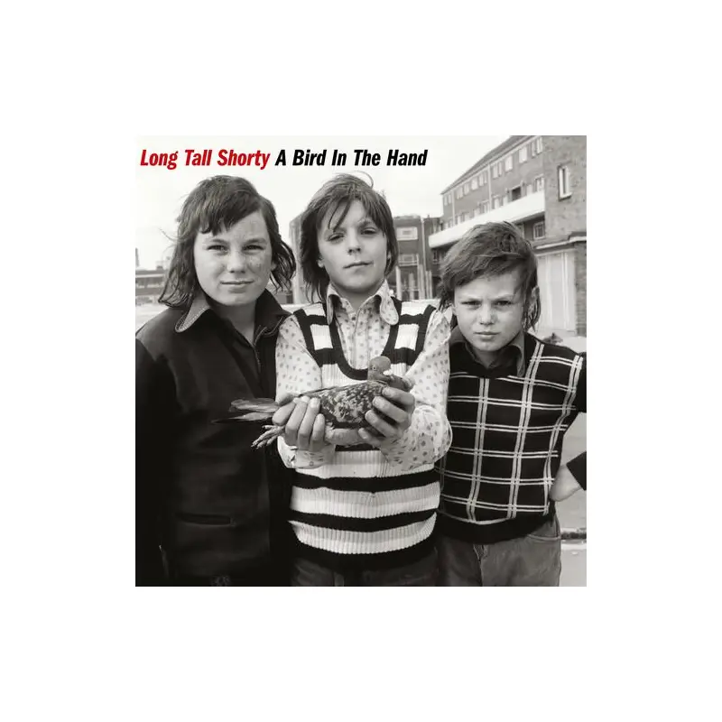 A Bird In The Hand - Vinyl LP