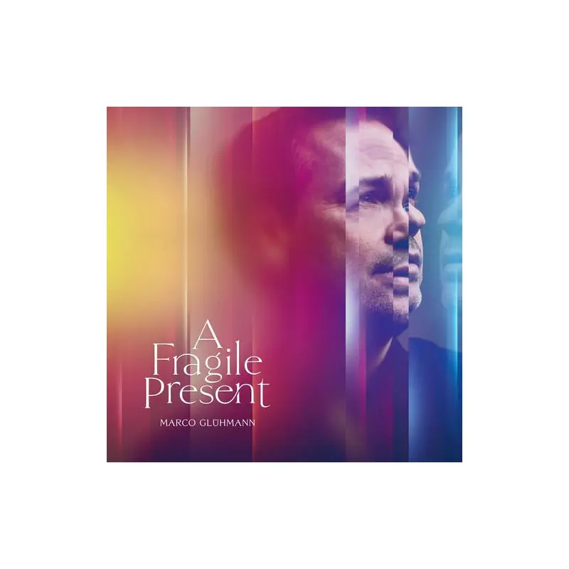 A Fragile Present - Vinyl LP