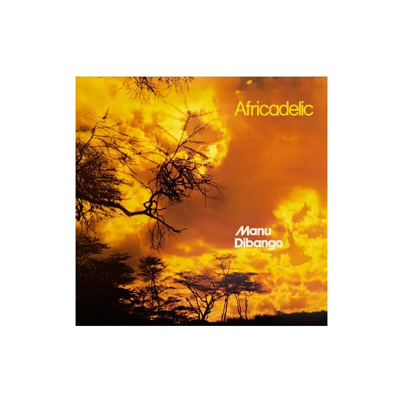 Africadelic - Vinyl LP