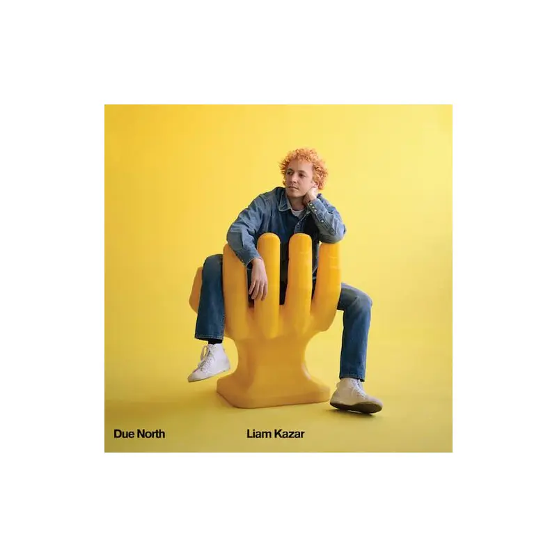 Due North - Vinyl LP