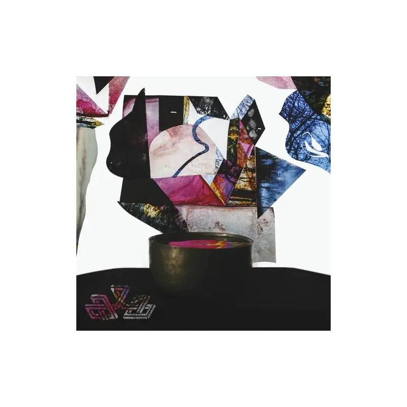 Undying Color - Vinyl LP