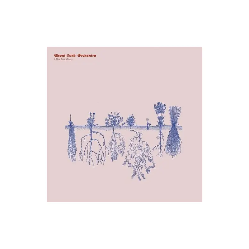 A New Kind of Love - Vinyl LP