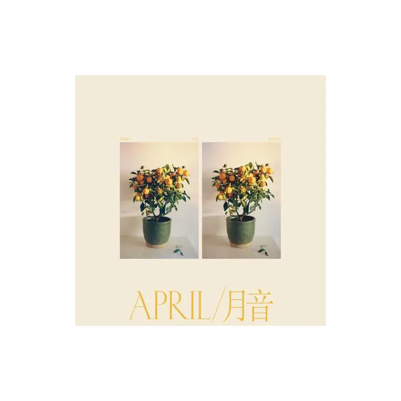 April - Vinyl LP
