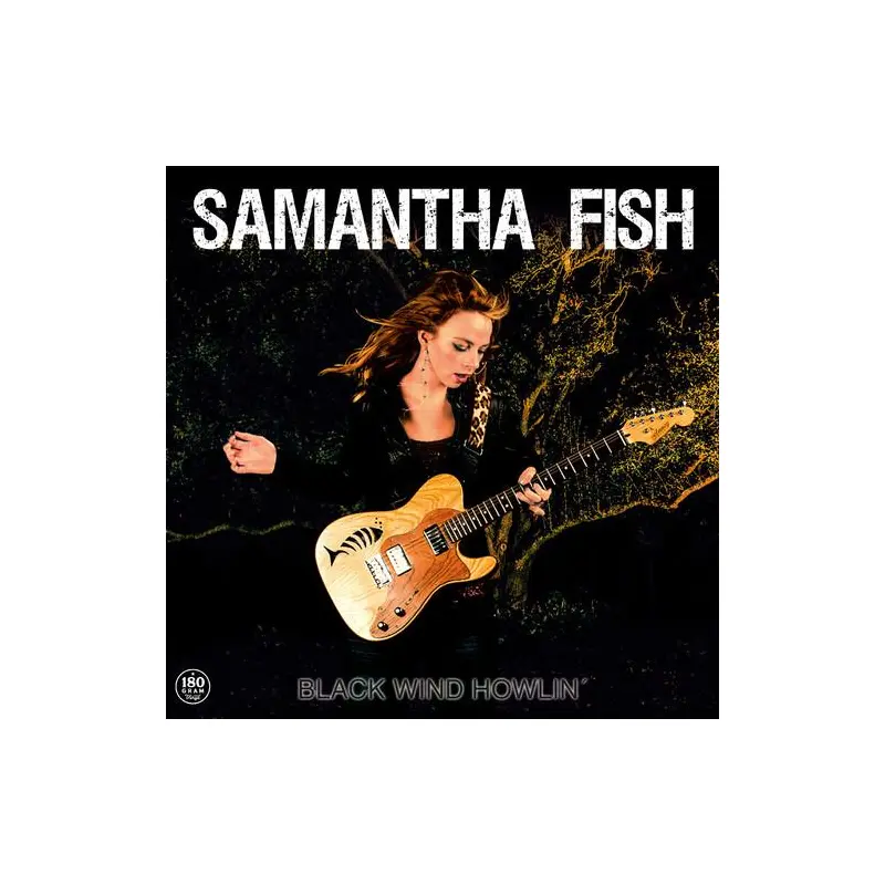 Black Wind Howlin - Vinyl LP