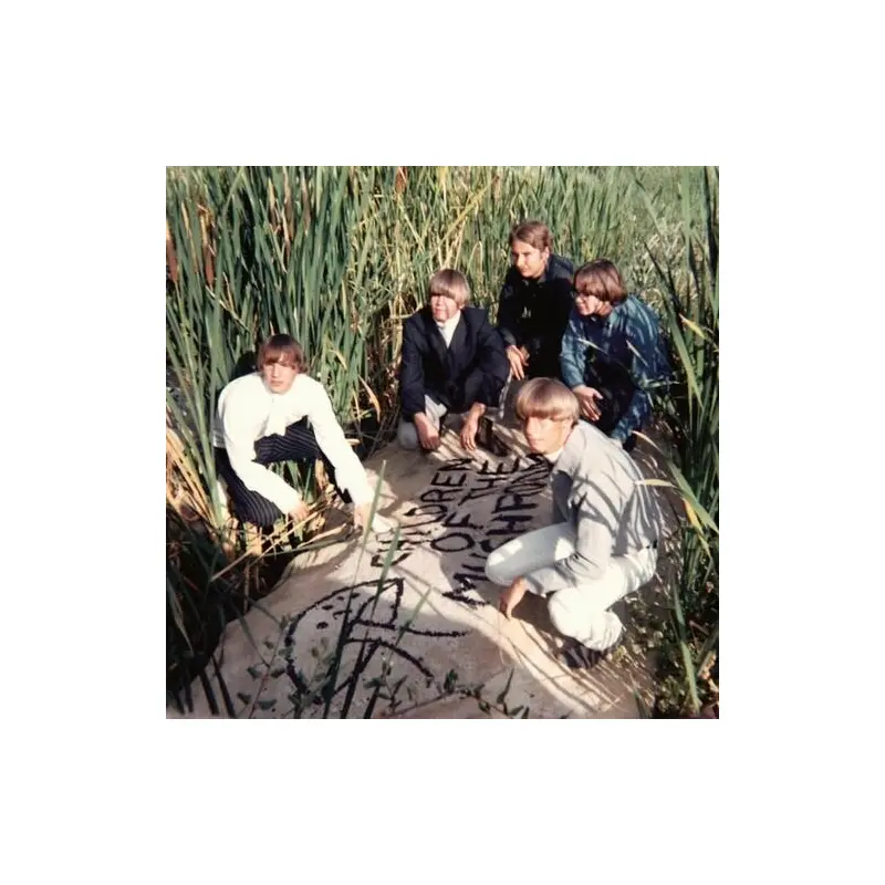 Children Of The Mushroom - Vinyl LP