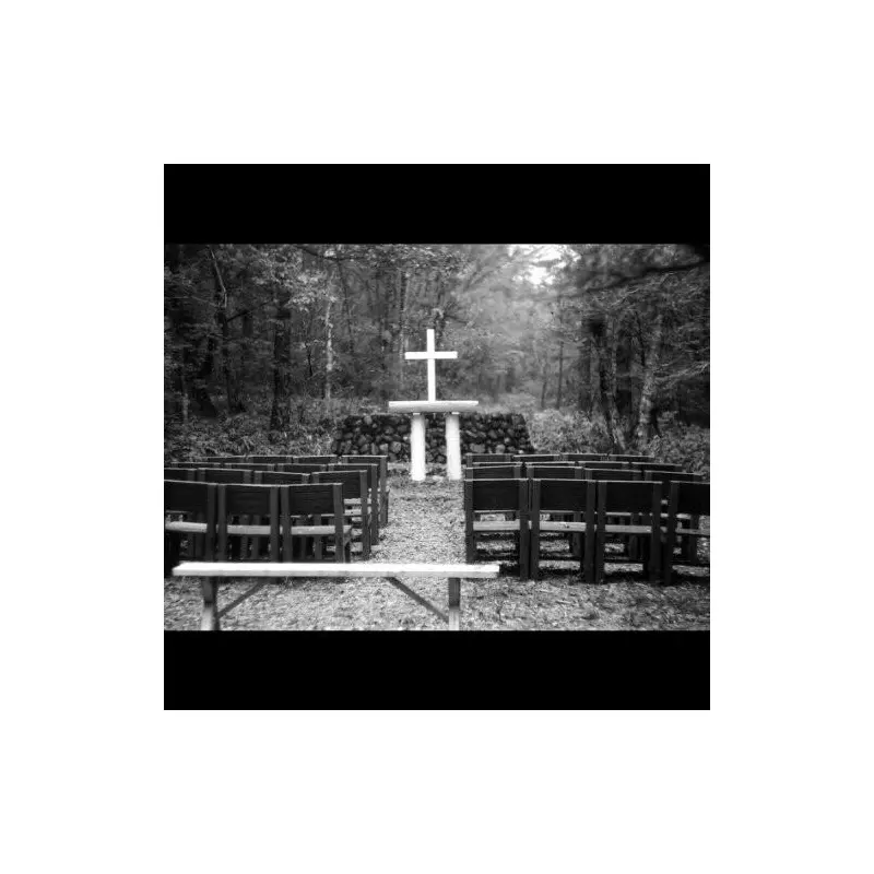 12 & 1 Song - Vinyl LP