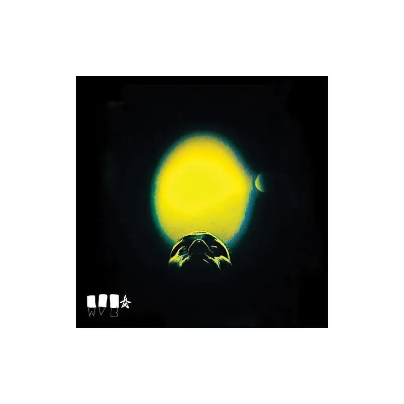 The Cycle - Vinyl LP