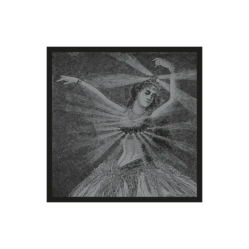 The Collected Works Of Neutral Milk Hotel - Vinyl LP