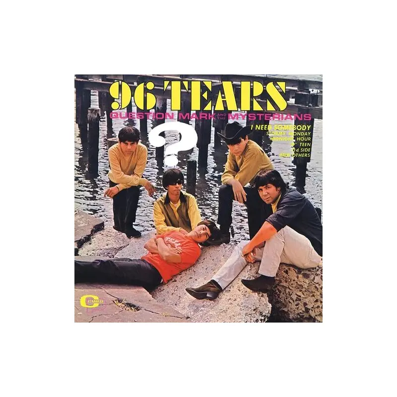 96 Tears - Vinyl LP