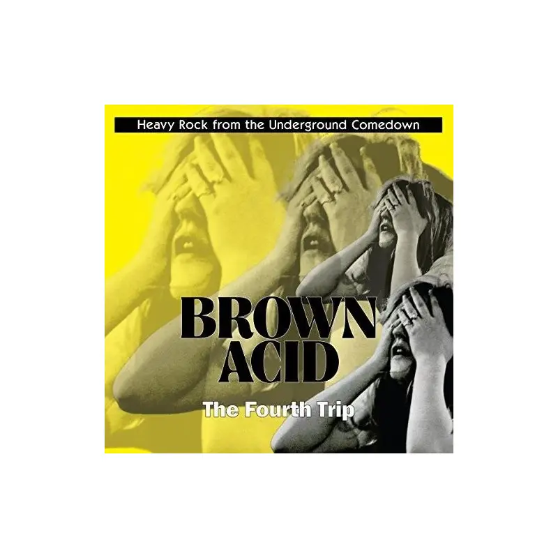 Brown Acid: Fourth Trip (Various Artists) - Vinyl LP