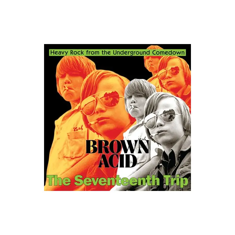 Brown Acid - The Seventeenth Trip (Various Artists) - Vinyl LP