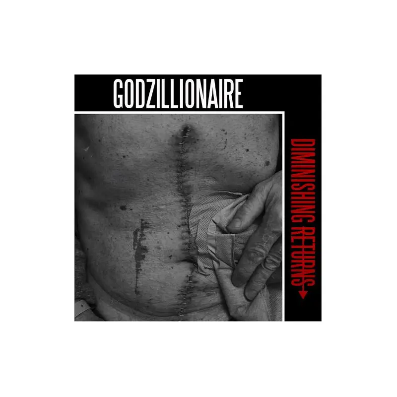 Diminishing Returns - Vinyl LP