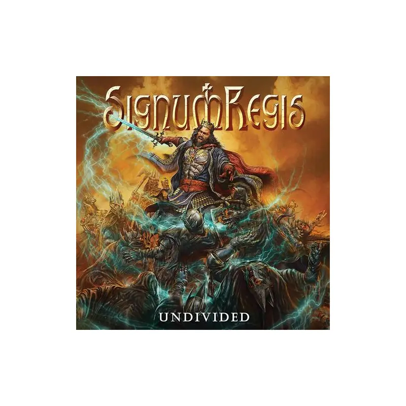 Undivided - Vinyl LP