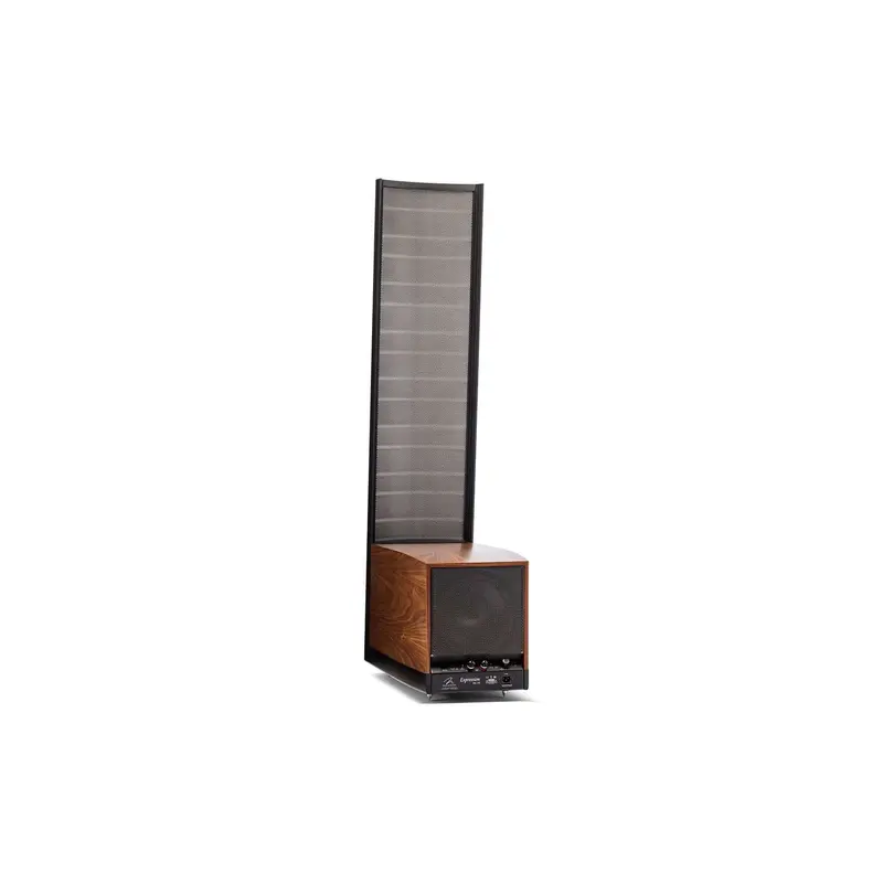 Martin Logan Expression ESL 13A Floorstanding Loudspeaker (Pair)