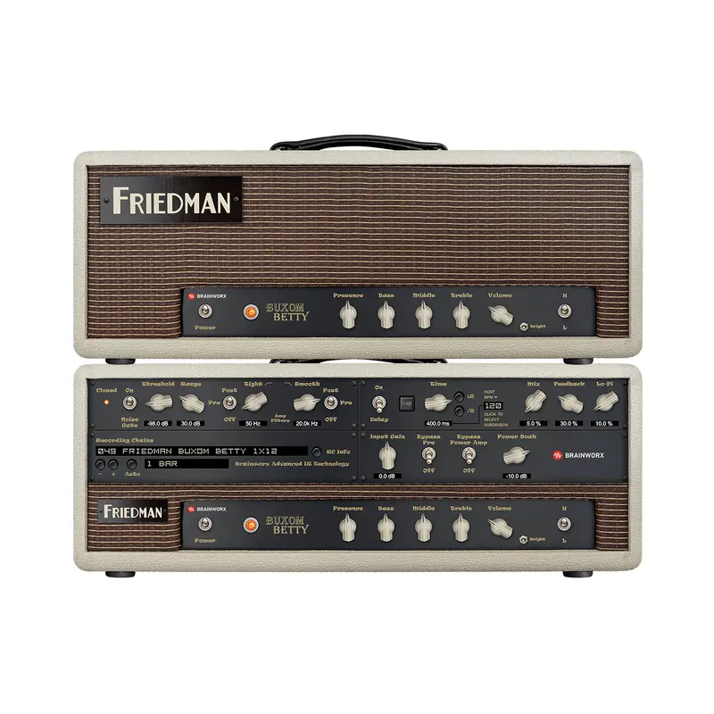 Friedman Buxom Betty Amplifier