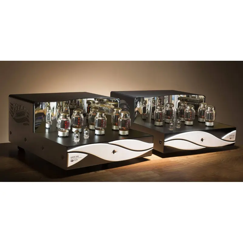Zesto Audio Eros 300 Monoblock Poweramps (pair) (OPEN)