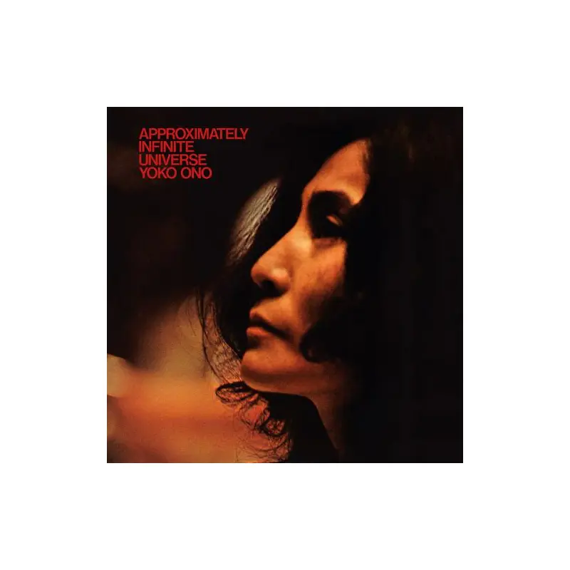 Approximately Infinite Universe - Vinyl LP